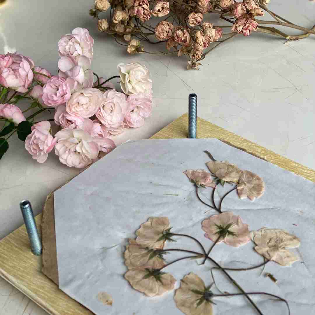flores secas